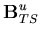 $\displaystyle {\bf B}^u_{TS}$