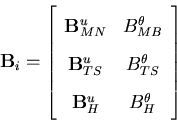 \begin{displaymath}{\bf B}_i = \left[ \begin{array}{cc}
{\bf B}^u_{MN} & B^\th...
...ta_{TS} \\
{\bf B}^u_H & B^\theta_H
\end{array} \right] \\
\end{displaymath}