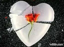 Image result for يجبر الكسور