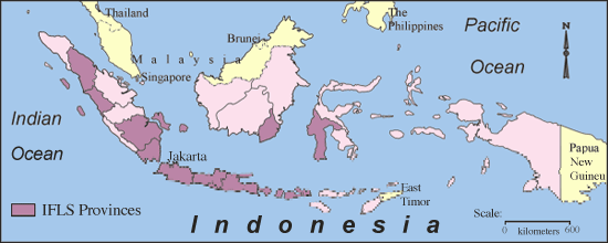 http://www.rand.org/content/dam/rand/www/external/labor/FLS/IFLS/images/indonesia.gif