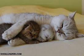 Image result for â«Ø§ÙرØÙ
Ø©â¬â